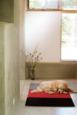 
The family dog Sunny relaxes in the foyer atop concrete flooring with radiant floor heating.
